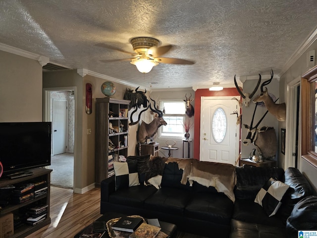 living room featuring hardwood / wood-style floors, a textured ceiling, ornamental molding, and ceiling fan