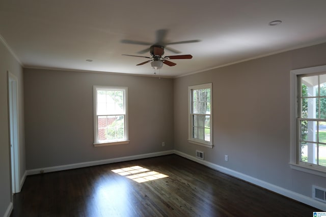 spare room with crown molding, ceiling fan, dark wood-type flooring, and a wealth of natural light