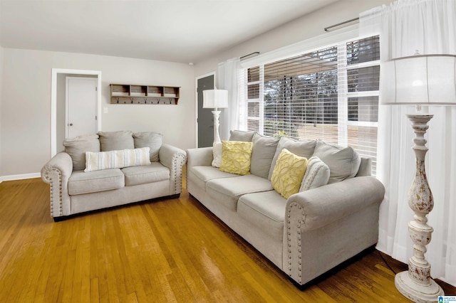 living room with hardwood / wood-style floors