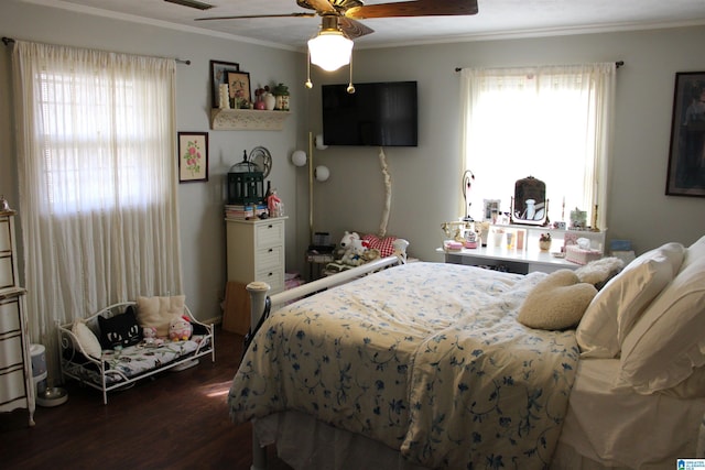 bedroom featuring dark wood finished floors, multiple windows, crown molding, and ceiling fan