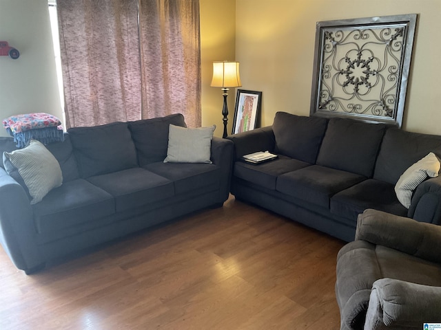 living room with wood-type flooring