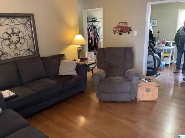 living room featuring hardwood / wood-style flooring