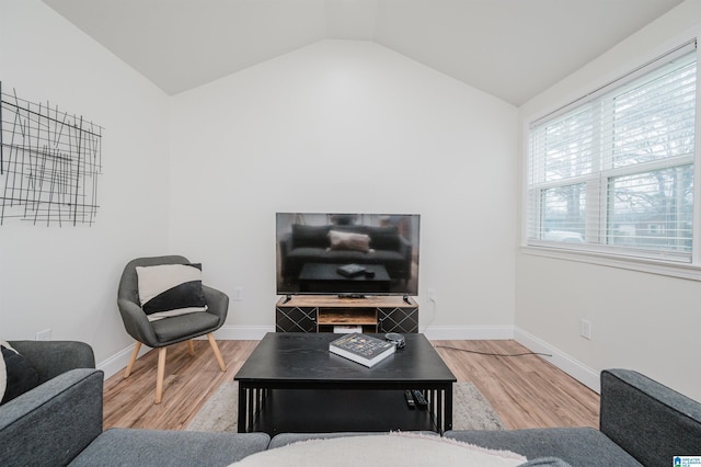 living room with lofted ceiling and wood-type flooring