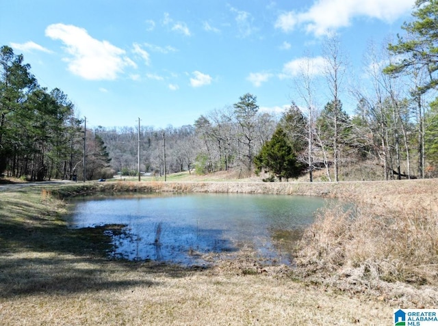 property view of water