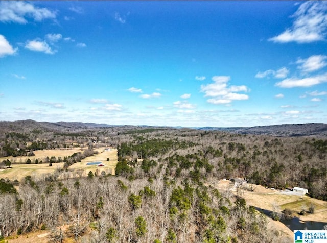 bird's eye view with a mountain view