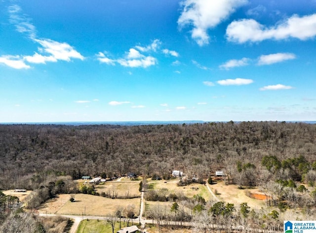 drone / aerial view featuring a wooded view