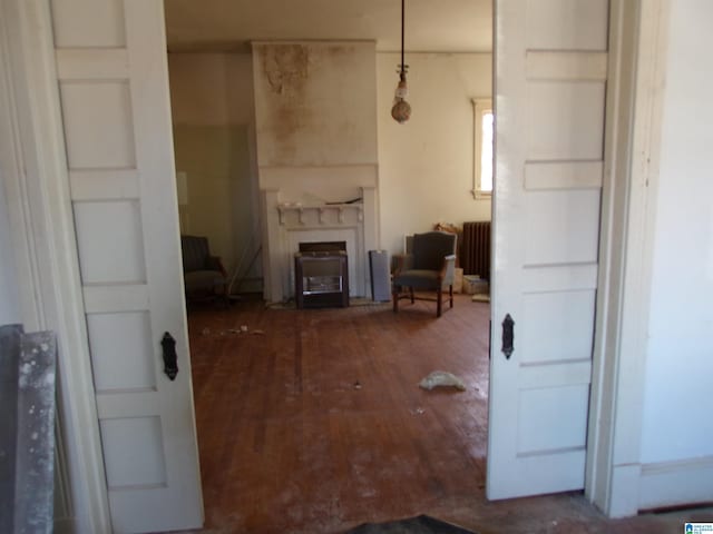 living room with radiator heating unit and hardwood / wood-style floors