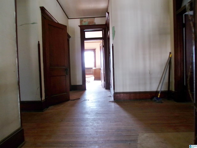 hallway featuring wood-type flooring