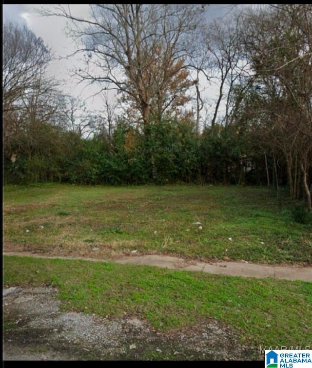 1412 Washington St, Selma AL, 36703 land for sale