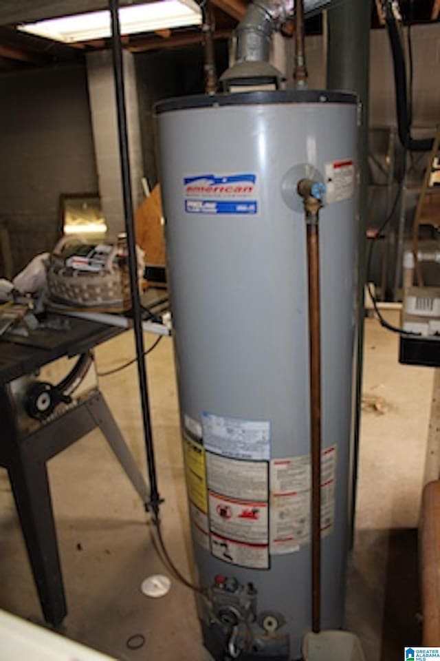 utility room with gas water heater