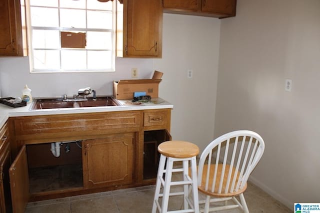 kitchen with sink