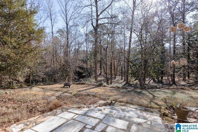 view of yard featuring a patio area