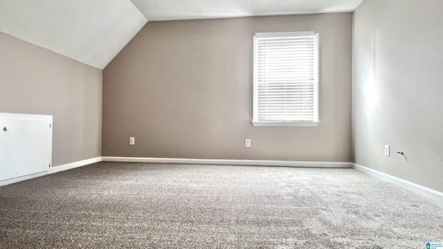 additional living space featuring lofted ceiling, carpet flooring, and a textured ceiling