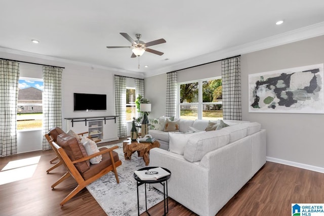 living room featuring ornamental molding, dark wood-type flooring, and ceiling fan