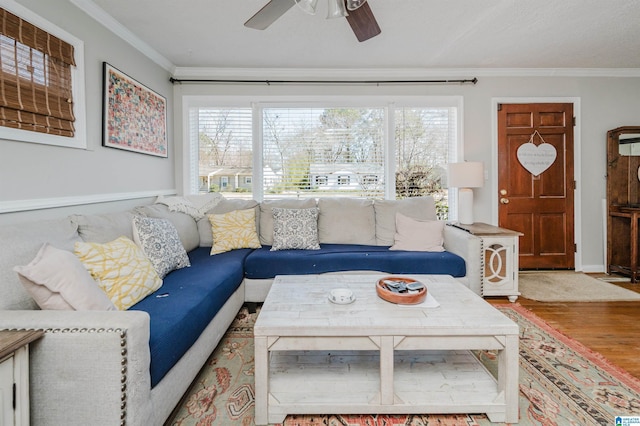 living area with ceiling fan, baseboards, crown molding, and wood finished floors