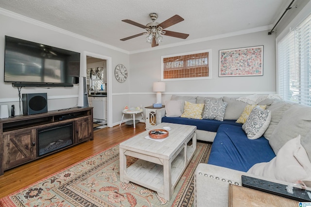 living room featuring ornamental molding, a ceiling fan, a textured ceiling, and wood finished floors