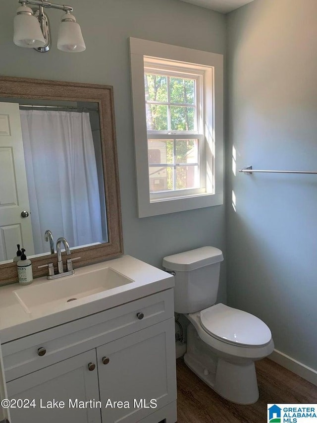 bathroom featuring toilet, wood-type flooring, and vanity