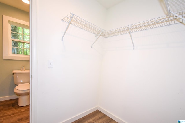 spacious closet featuring wood finished floors