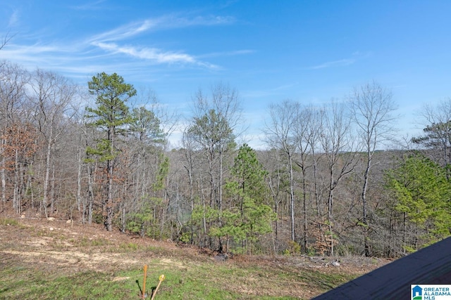 view of yard featuring a forest view