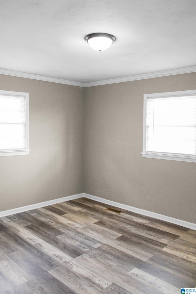 empty room with wood finished floors, a wealth of natural light, and baseboards