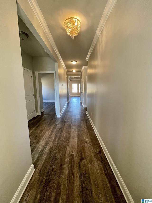 hall with crown molding and dark wood-type flooring