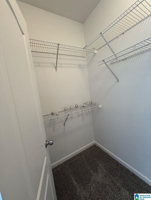 spacious closet with carpet floors