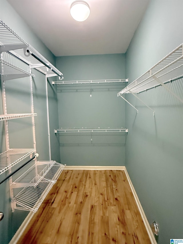 spacious closet featuring wood finished floors