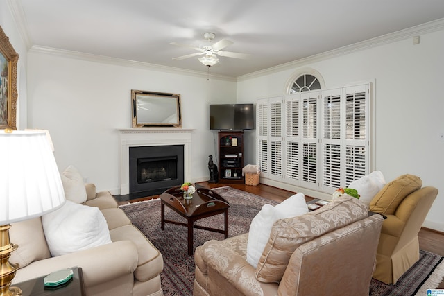 living area with a fireplace with raised hearth, ceiling fan, ornamental molding, and wood finished floors