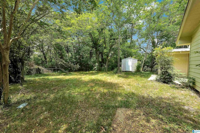 view of yard with a storage unit