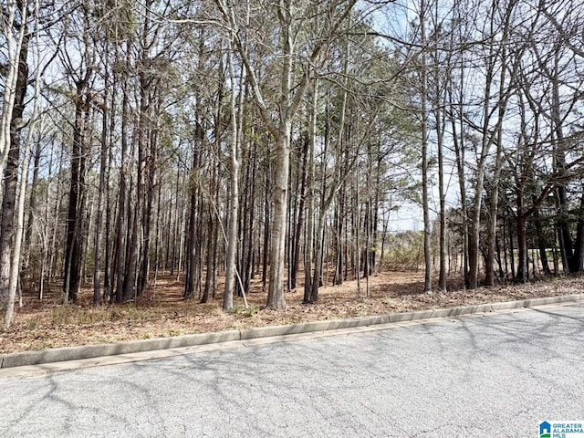 0 Fairway Dr Unit 8, Roanoke AL, 36274 land for sale