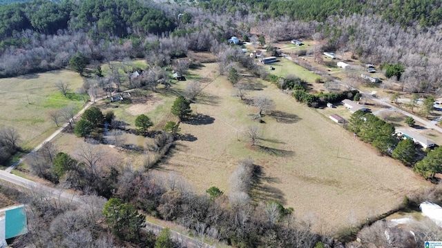 drone / aerial view featuring a rural view