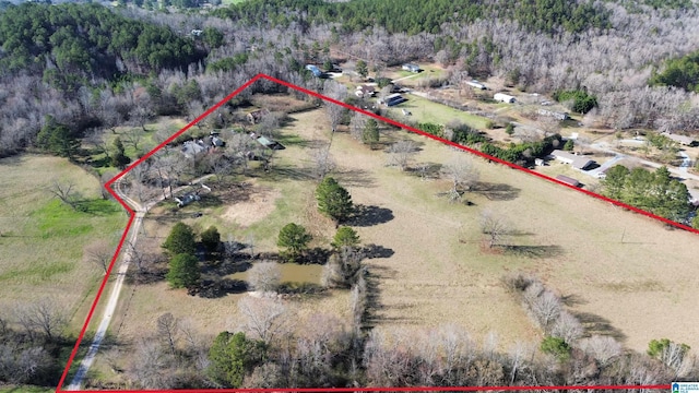 birds eye view of property featuring a rural view