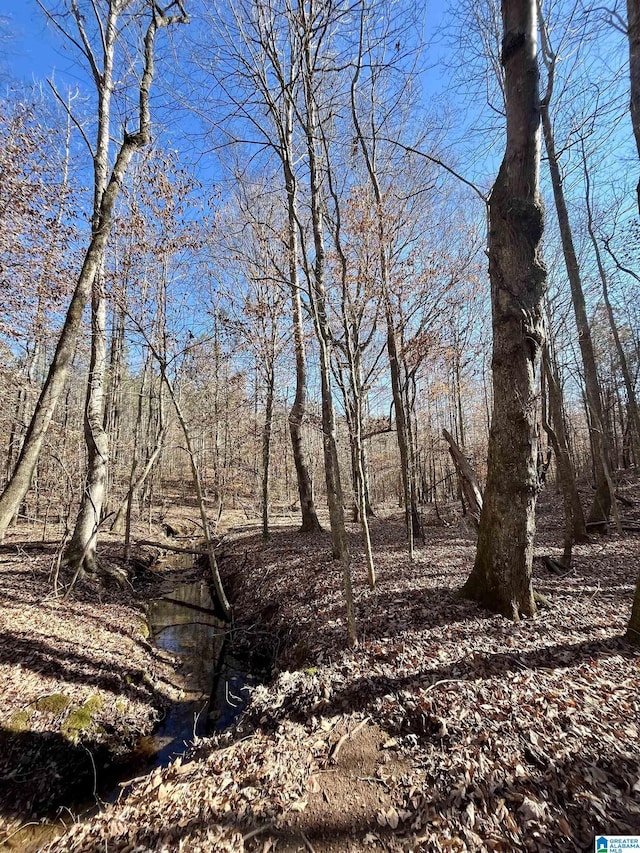 0 County Road 432 Unit 1, Newell, AL 36280
