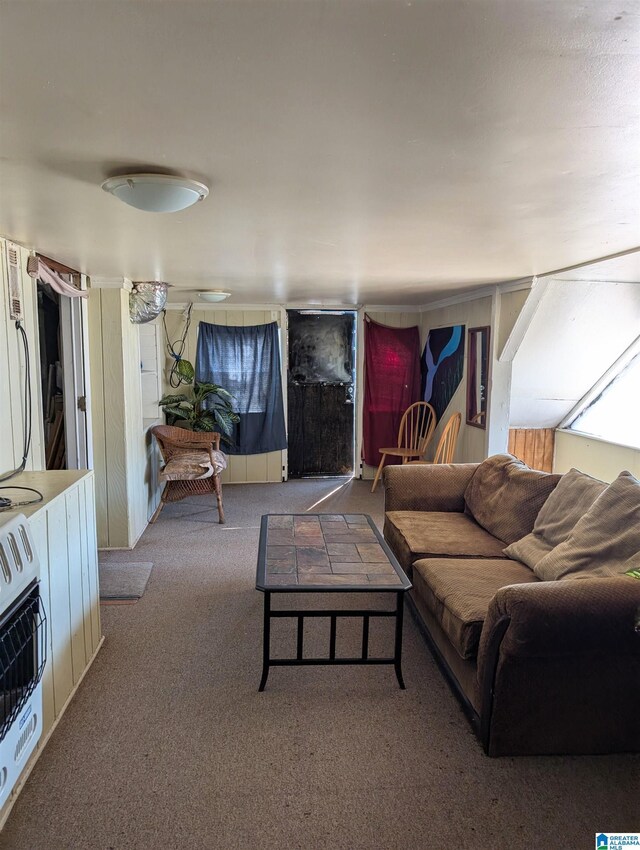carpeted living room with heating unit