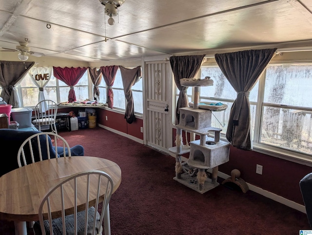 dining area featuring ceiling fan, plenty of natural light, and carpet flooring