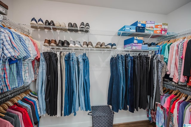 walk in closet featuring wood finished floors