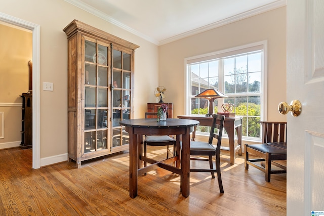 office with baseboards, ornamental molding, and wood finished floors