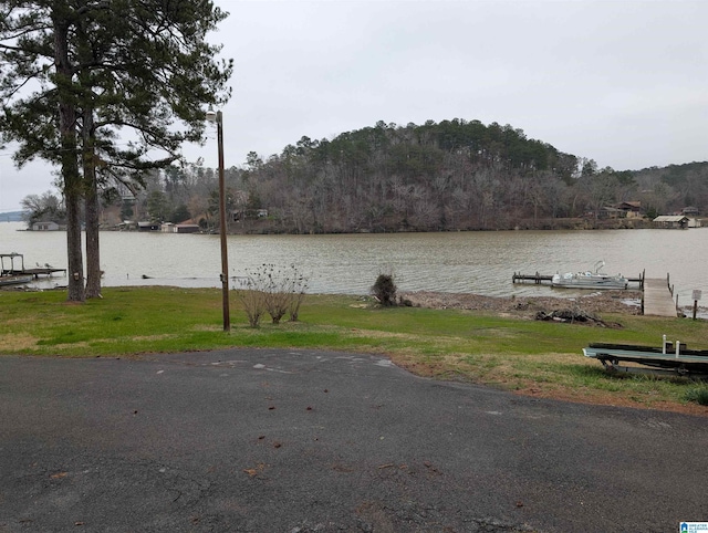 view of water feature featuring a boat dock