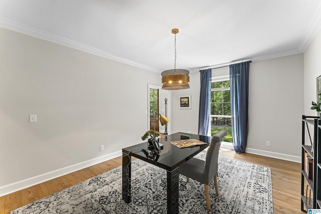 dining area featuring ornamental molding, wood finished floors, and a healthy amount of sunlight