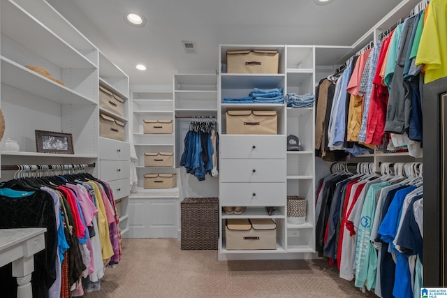 view of walk in closet