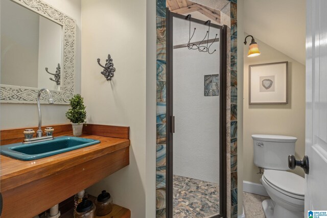 bathroom featuring toilet, a stall shower, and a sink