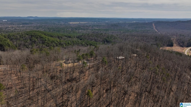 bird's eye view with a wooded view