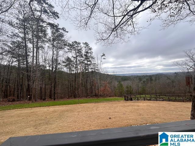 view of yard featuring a wooded view