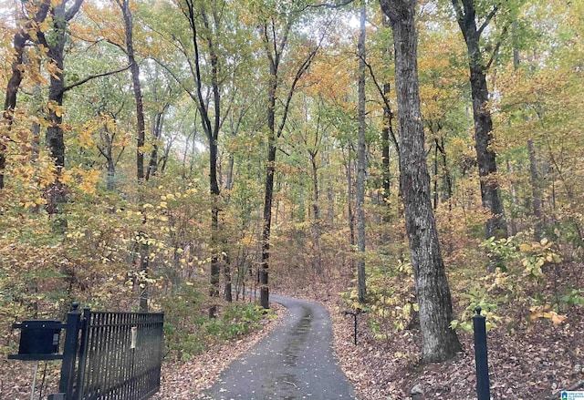 view of road with a gate and a wooded view