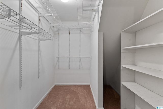 spacious closet with carpet