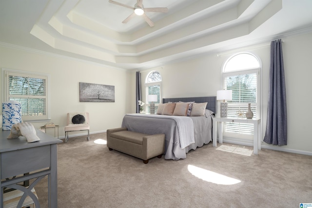 bedroom with a tray ceiling, multiple windows, and carpet