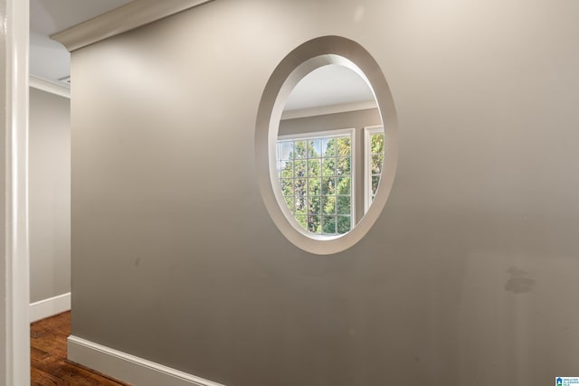 details featuring baseboards and wood finished floors