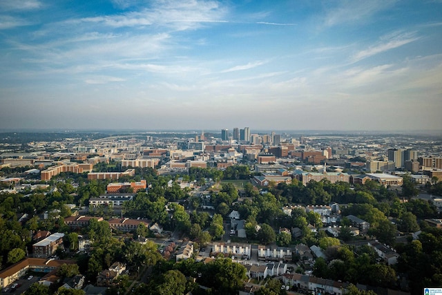 aerial view featuring a city view