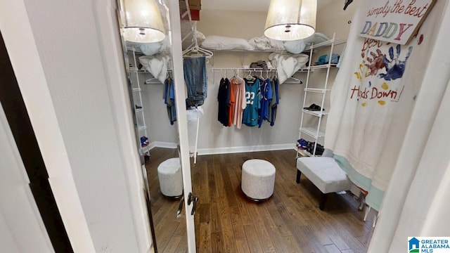 spacious closet with dark wood-type flooring