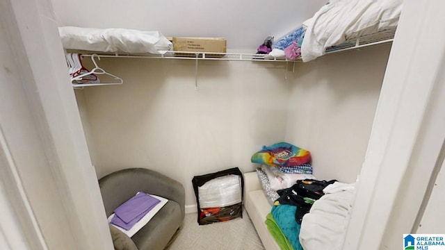 walk in closet featuring carpet flooring